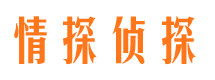 达坂城市侦探公司